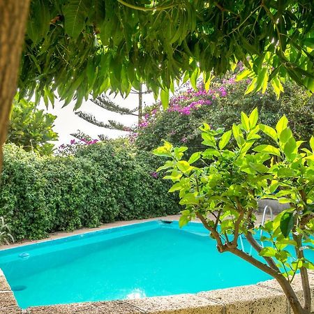 Casitas En El Paraiso Candelaria Exteriér fotografie