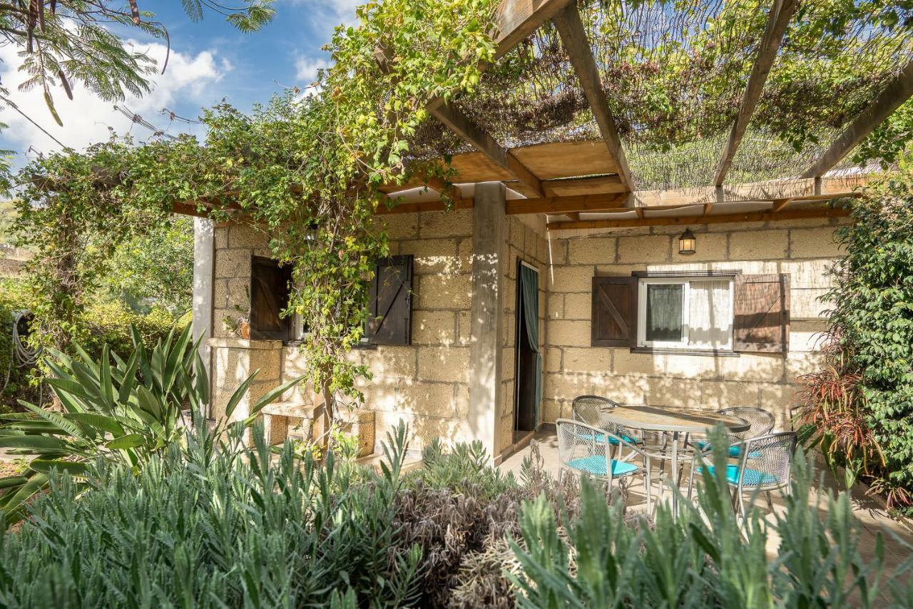 Casitas En El Paraiso Candelaria Exteriér fotografie